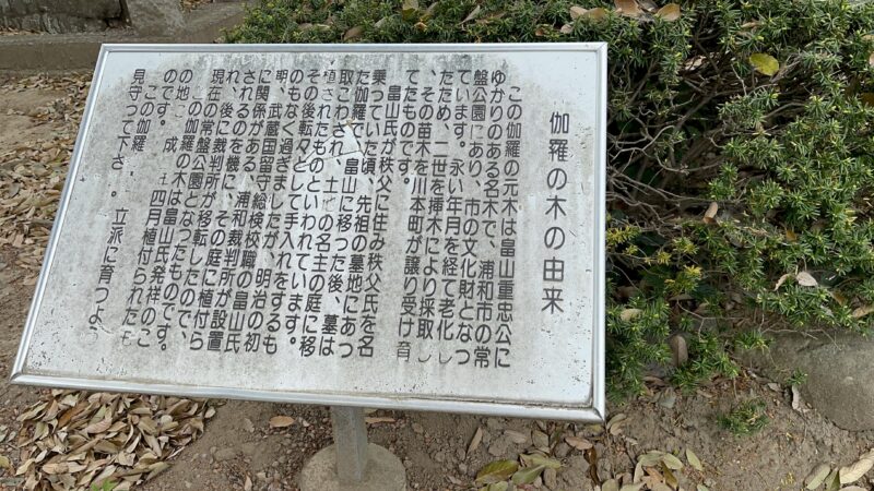 畠山重忠公史跡公園にある伽羅の木の看板