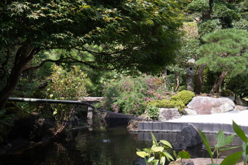 報国寺の庭園