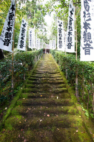 苔寺で有名な鎌倉の杉本寺.見どころは苔むした観音堂と石段