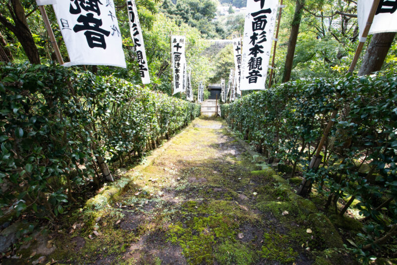 苔寺（鎌倉）の石段