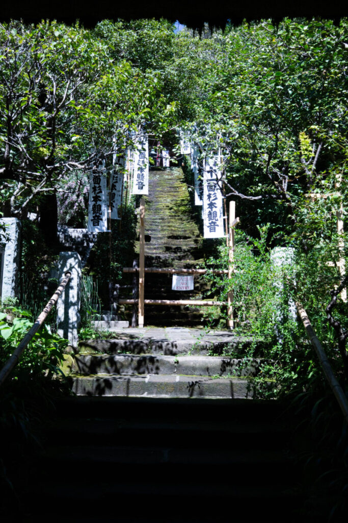 鎌倉の苔寺