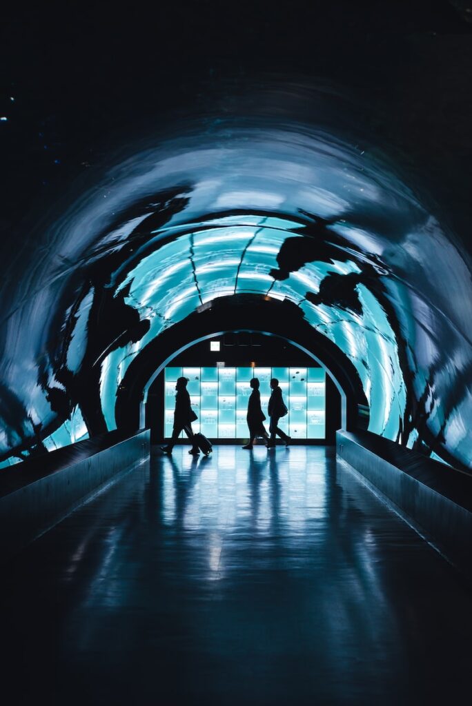 silhouette of three person walking near tunnel